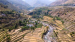 Tearfund Nepal