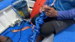 Blue Alliance